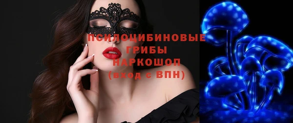 прущий лед Арсеньев